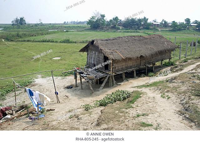 Mishing tribal village house, Majuli Island, largest freshwater riverine island in the world, in the Brahmaputra River, Assam, India, Asia