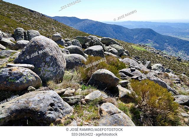 Sierra del Artuñero from Prados de la Centenera in the Sierra de Gredos. Mijares. Avila. Castilla Leon. Spain. Europe