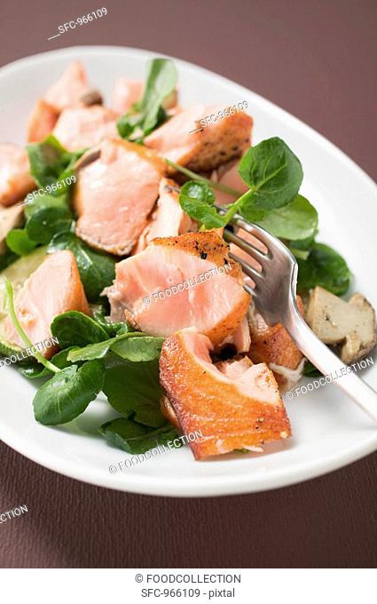 Salad leaves with fried salmon and mushrooms