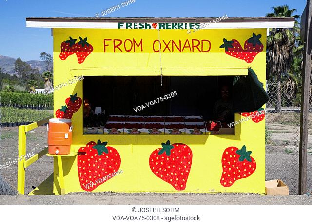 Fresh fruit yellow roadside stand, Route 126, Santa Paula, California, USA