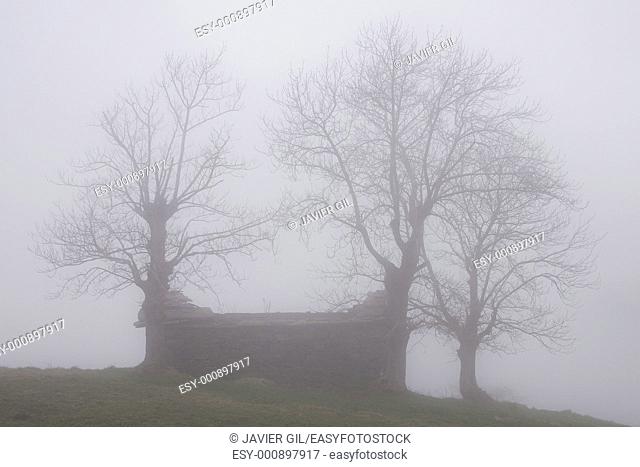 Fog in the port of El Caracol, Cantabria, Spain