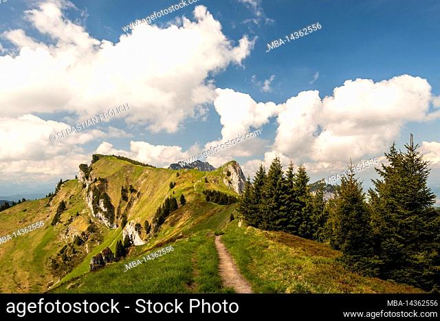 The hiking trail, mountain path between the Brauneck and Benediktenwand along the ridge, in the background on the right the Vordere Kirchstein and on the left...