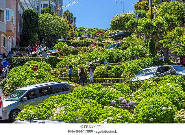 View of cars on Lombard Street, San Francisco, California, United States of America, North America