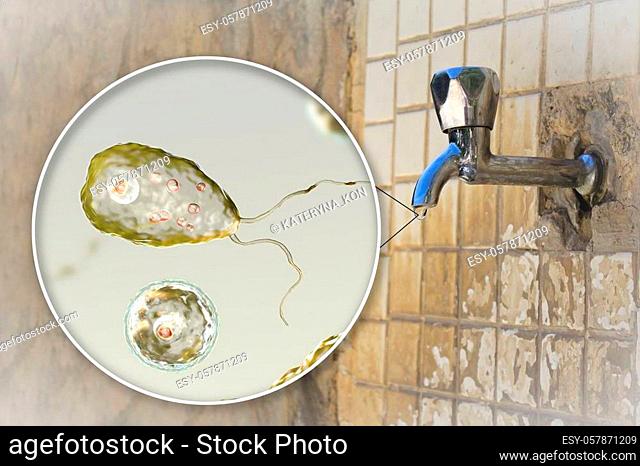 Brain-eating amoeba awareness concept. 3D illustration showing potential way of aquiring infection during ritual nasal rinsing