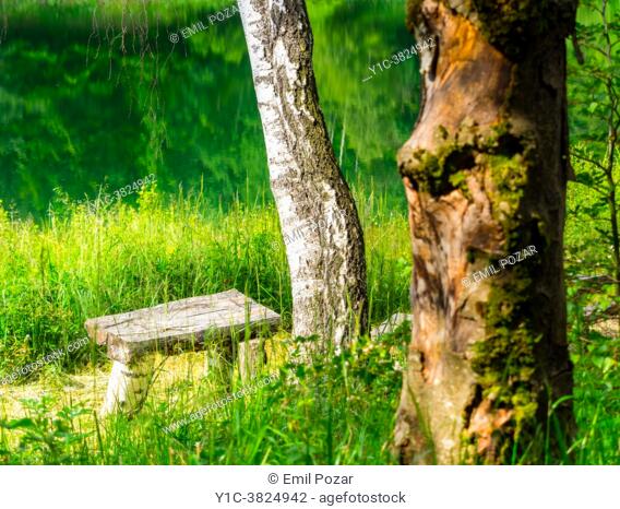 Wooden benches and table Lokve lake near Mrzla vodica in Croatia