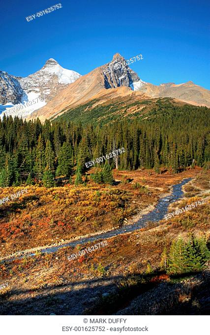 View of the Rocky Mountains along Icefields Parkway