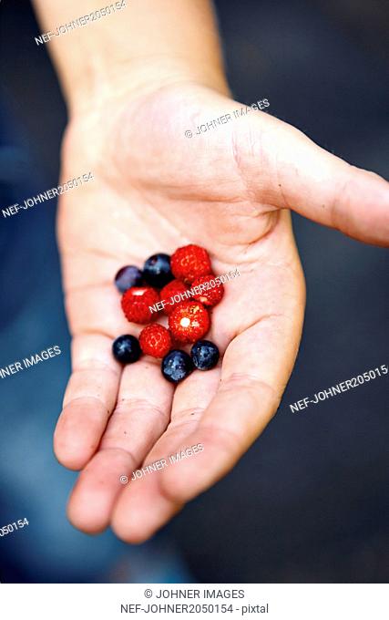 Blueberries and wild strawberries in mans hand