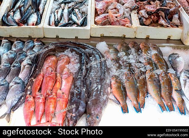 Frischer Fisch zum Verkauf auf einem Markt in Brixton, London