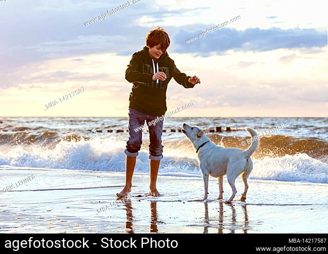Boy communicates and gesticulates with his dog on the Baltic Sea beach