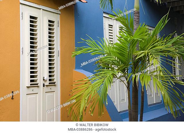 Curacao, Willemstad, Otrobanda, house-facades, colorfully, palm, detail, ABC-Inseln, little one Antilles, Dutch Antilles, Caribbean, island, Caribbean-island