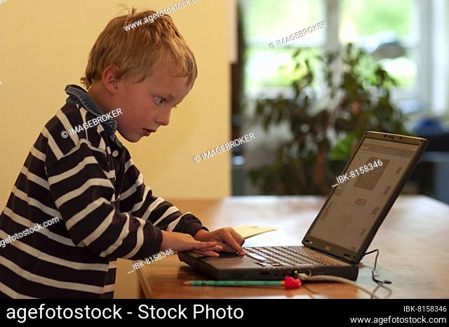 Little boy typing concentrated on laptop, Germany, Europe