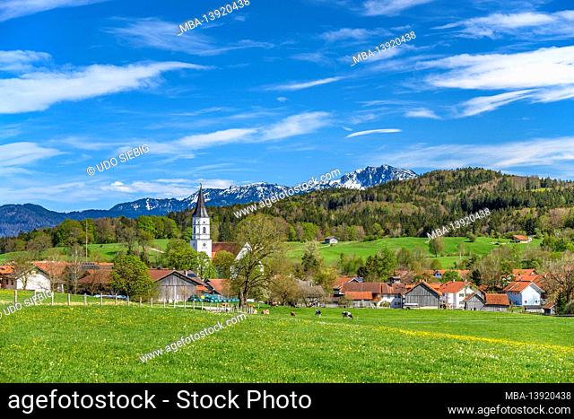 Germany, Bavaria, Upper Bavaria, Pfaffenwinkel, Habach, town view with Sankt Ulrich church against the foothills of the Alps with Benediktenwand