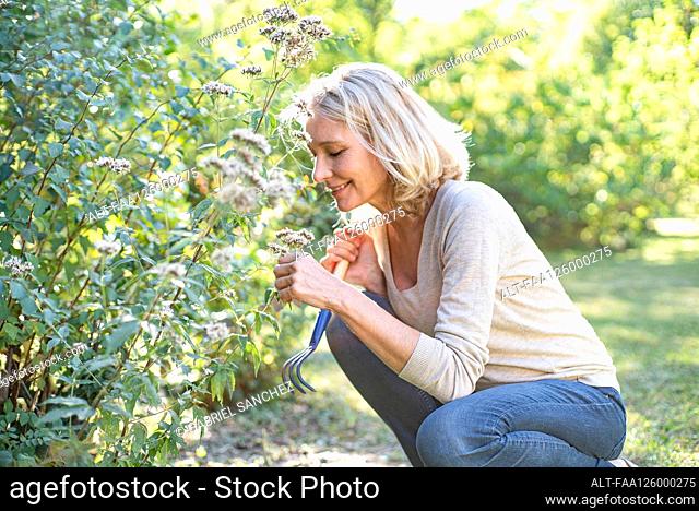 Smiling mature woman looking at flowers in backyard