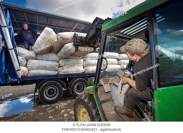 Telehandler loading Britsh Wool lorry with wool bales, Jervaulx, Masham, Ripon, North Yorkshire, England, August