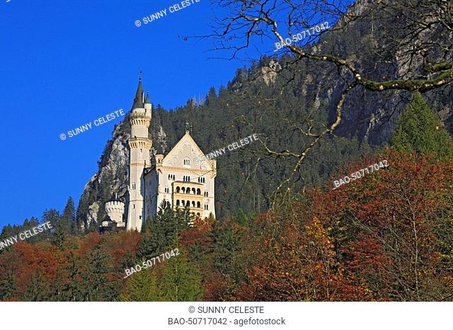 Neuschwanstein Castle Schloss Neuschwanstein, lit. New Swan Stone palace is a 19th-century Bavarian palace. Located on a mountain top in Germany