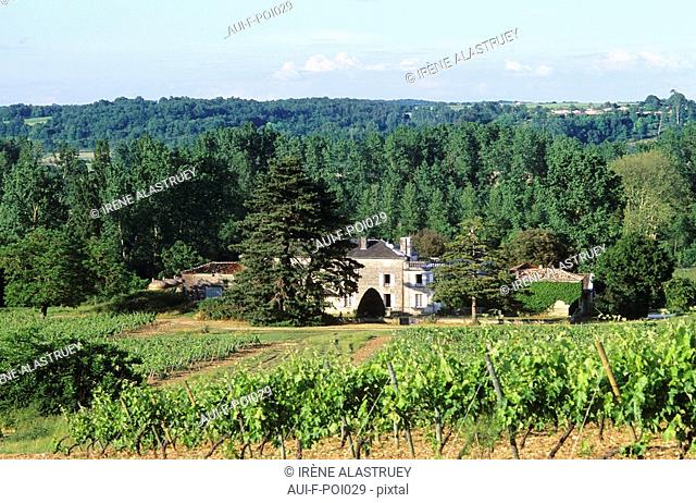 Charente - Grande Champagne - Region de Cognac