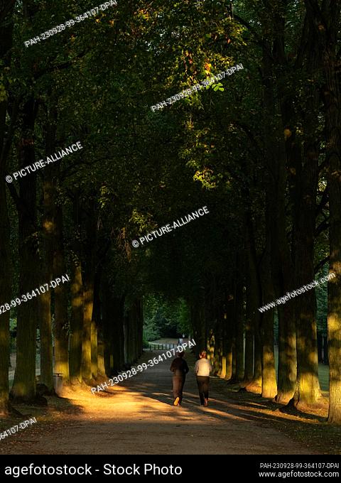 28 September 2023, Brandenburg, Potsdam: Two women are walking in an avenue in Sanssouci Park in Potsdam at sunrise. Temperatures of up to 27° C are forecast...