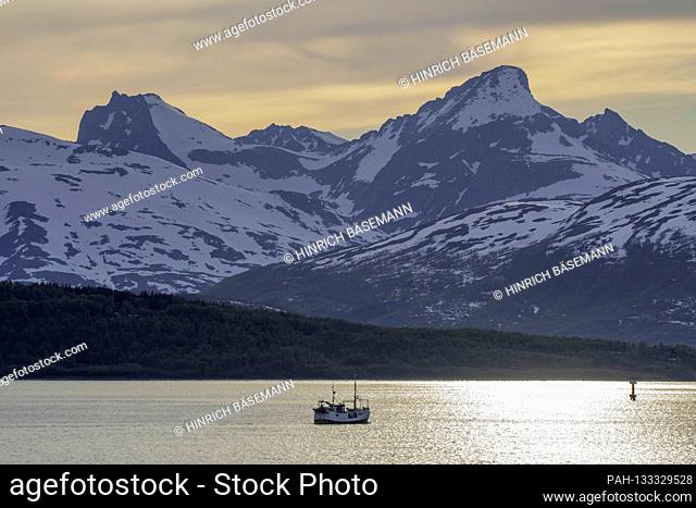 sightseeing boat befor mount Store Blaamannen, june 2020 | usage worldwide. - Tromsö/Troms/Norway