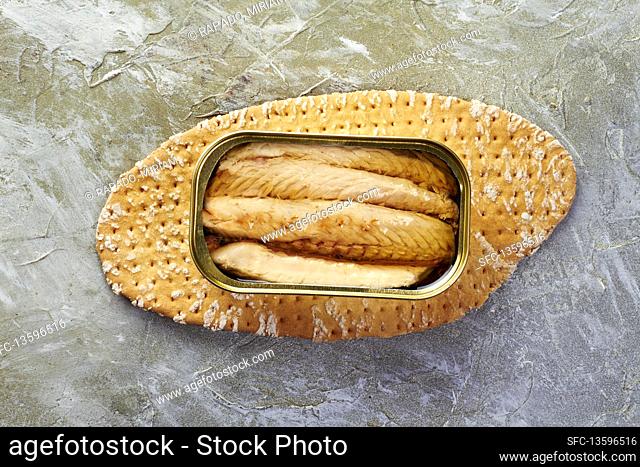 Tinned mackerel preserved in oil on bread