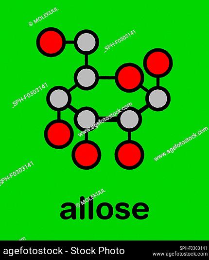 Allose sugar molecule, illustration