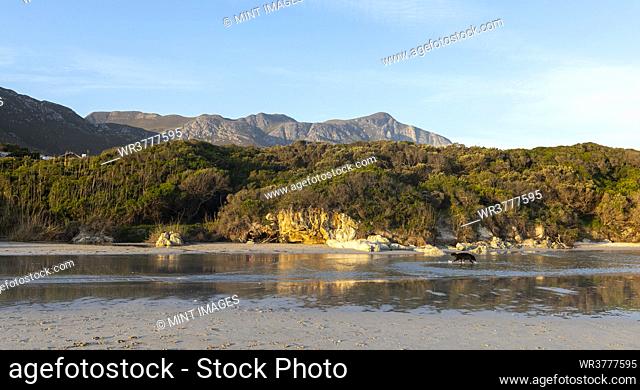Woodland and mountains scenery, a small sheltered sandy beach on the Atlantic shore