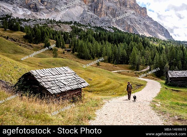 Typical meadow with a hay shed in the Dolomite Alps in the Fanes Sennes Prags Nature Park, South Tirol in Italy