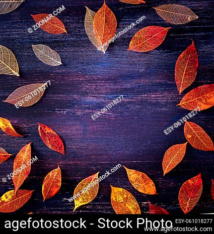Square autumn design template, a flat lay of fall leaves, for flyers, gift cards and invitations, with a place for text, shot from the top on a purple...
