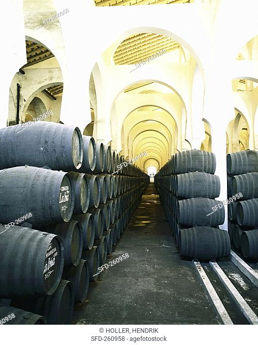 La Mezquita Winery Jerez de la Frontera, Spain