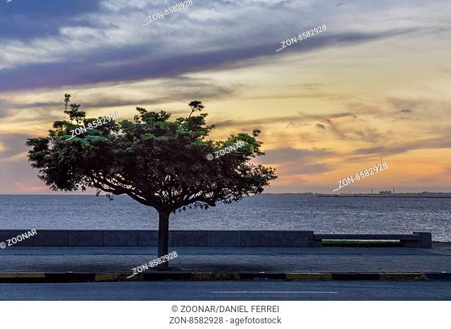 Sunset Scene at Boardwalk in Montevideo Uruguay