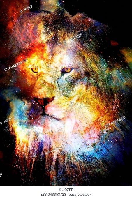 Lion in the cosmic space. Lion photos and graphic effect