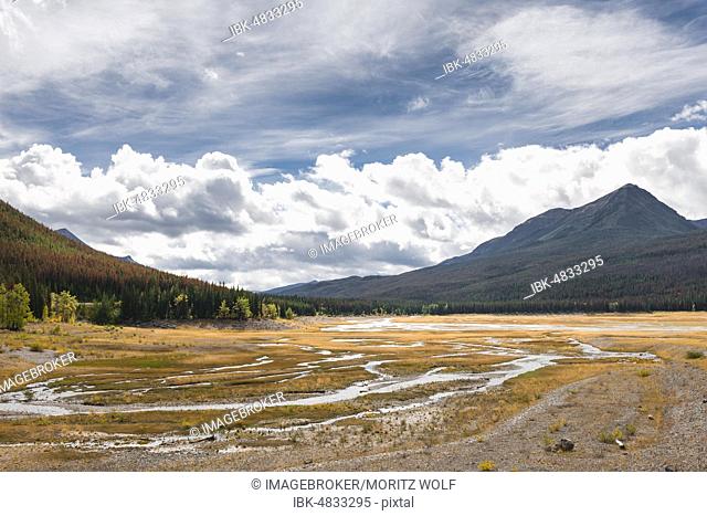 Stream meanders through a grassy landscape, Maligne Valley, Jasper National Park National Park, Canadian Rocky Mountains, Alberta, Canada, North America