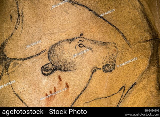 Replica of the prehistoric rock paintings from Chauvet Cave, Chauvet-Pont-d'Arc Cave, Ardèche, France, showing an extinct cave lion, Europe