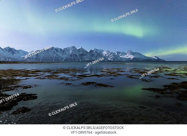 Northern lights is reflected on the icy shore. Spaknesora naturreservat, Djupvik, Lyngenfjord, Lyngen Alps, Troms, Norway, Lapland, Europe