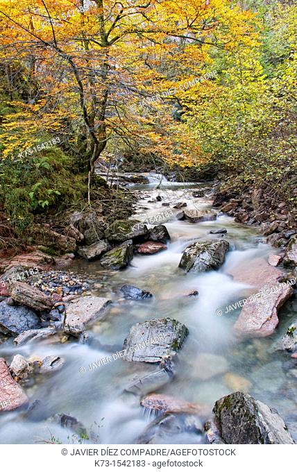 Route of El Alba. Alba River. Redes Natural Park and Biosphere Reserve. Soto de Agues. Sobrescobio Council. Asturias. Spain