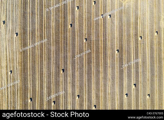 Bales of straw and abstract patterns in cornfield after wheat harvest. In the Campiña Cordobesa, the fertile rural area south of the town of Córdoba