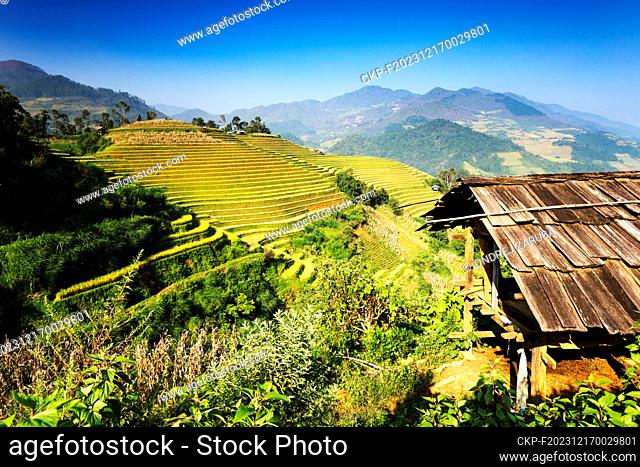 Mu Cang Chai's sheer rice terraces were sculpted over centuries of small-scale cultivation. Each season brings its own charm