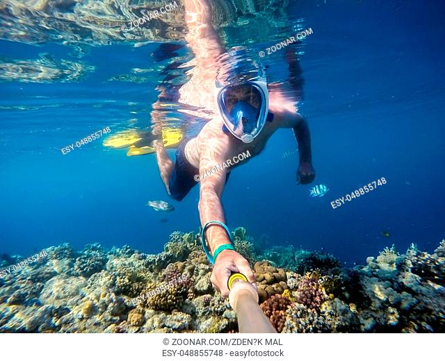 Snorkel swim in underwater exotic tropics paradise with fish and coral reef, beautiful view of tropical sea. Egypt, Marsa Alam