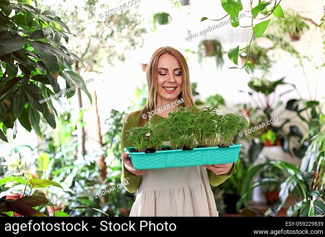 Cheerful woman in apron carrying tray with pots of tomato green plants in garden and looking at camera