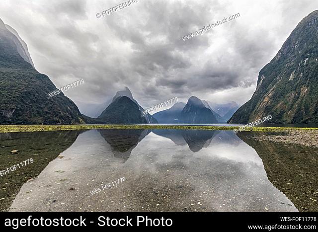 New Zealand, Oceania, South Island, Southland, Fiordland National Park, Mitre Peak and Milford Sound beach at low tide with green algae on pebbles