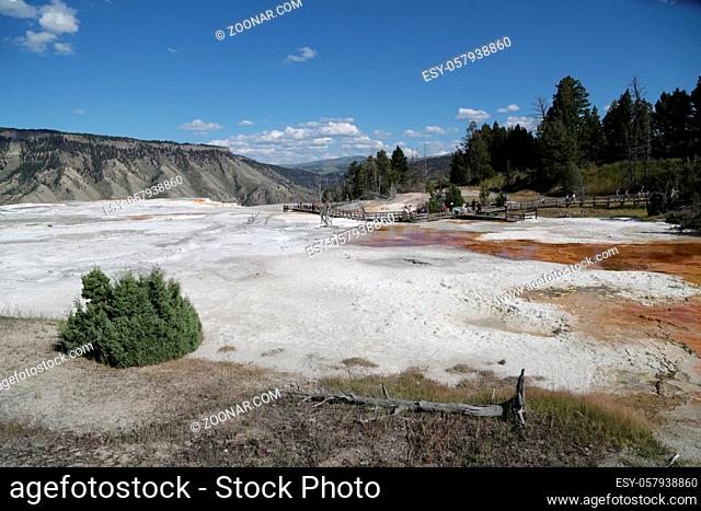 in USA inside the yellowstone national park the brauty of amazing nature tourist destination