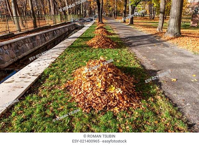 autumn park alley with leaf pile