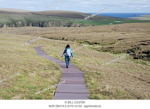 Hiking the Boardwalk to Hermaness Unst, Shetland, UK LA005867