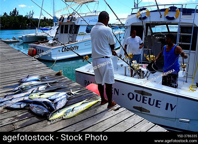 Grand-Baie, Grand Bay, popular sport fishing place- here fishes caught in deep Ocean Wahoo - Acanthocybium solandri, Skipjack tuna or Oceanic Bonito -...