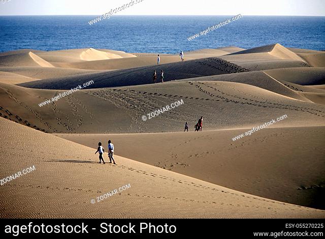 the Sanddunes at the Playa des Ingles in town of Maspalomas on the Canary Island of Spain in the Atlantic ocean