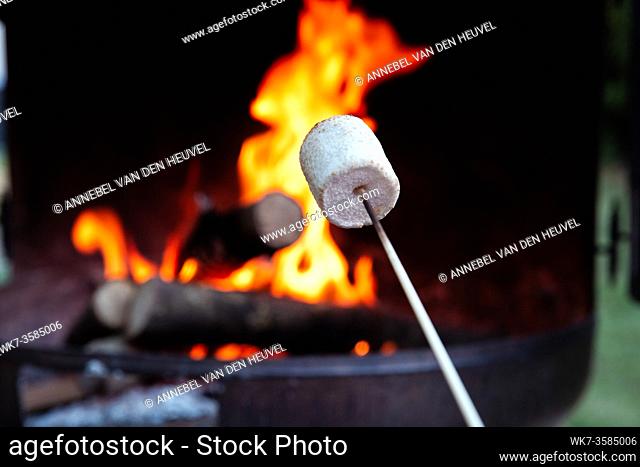Person roasting over fire flames a marshmallows over campfire at night on a summer day, for smores or snack closeup