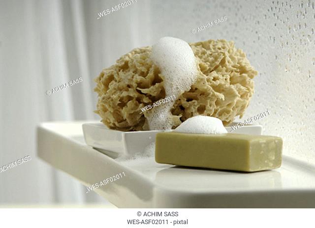 Bar of soap and sponge in bathroom