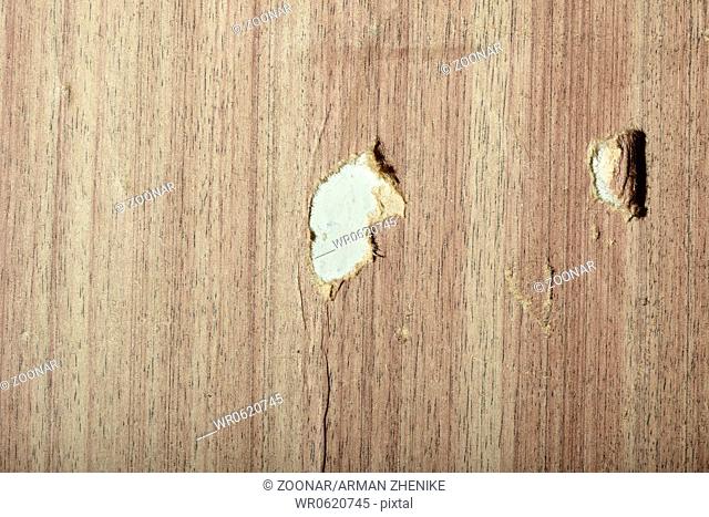 Torn wooden wallpaper