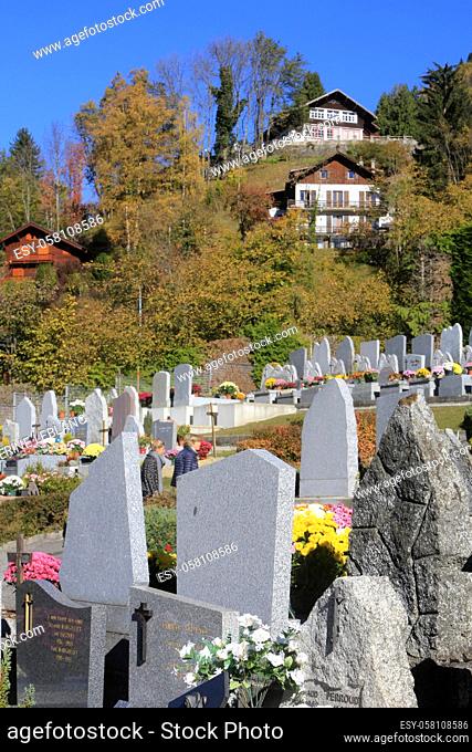 Chrysanthemums. Graveyard. Toussaint. Saint-Gervais-les-Bains. Haute-Savoie. Auvergne Rhône-Alpes. France. Europe
