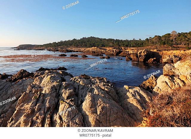 The Reserve Point Lobos
