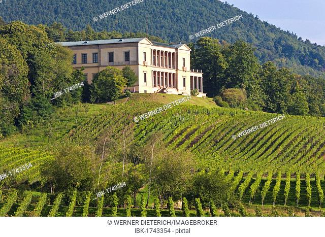 Villa Ludwigshoehe, vineyards near Edenkoben, German Wine Route, Palatinate wine region, Rhineland-Palatinate, Germany, Europe